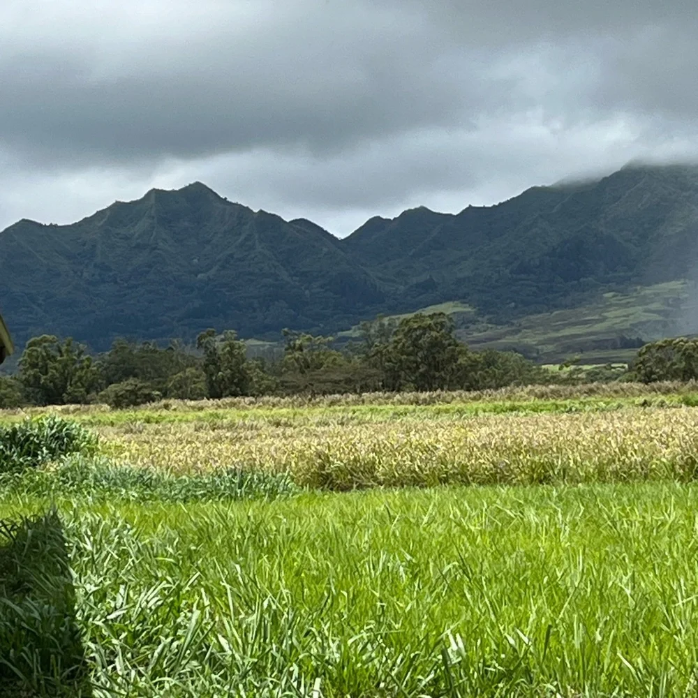 KMSCTE - Picture 4 of 14